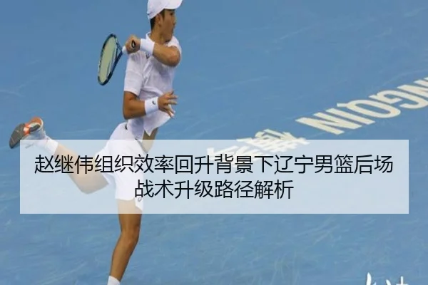赵继伟组织效率回升背景下辽宁男篮后场战术升级路径解析（XINGKONGSPORTS）